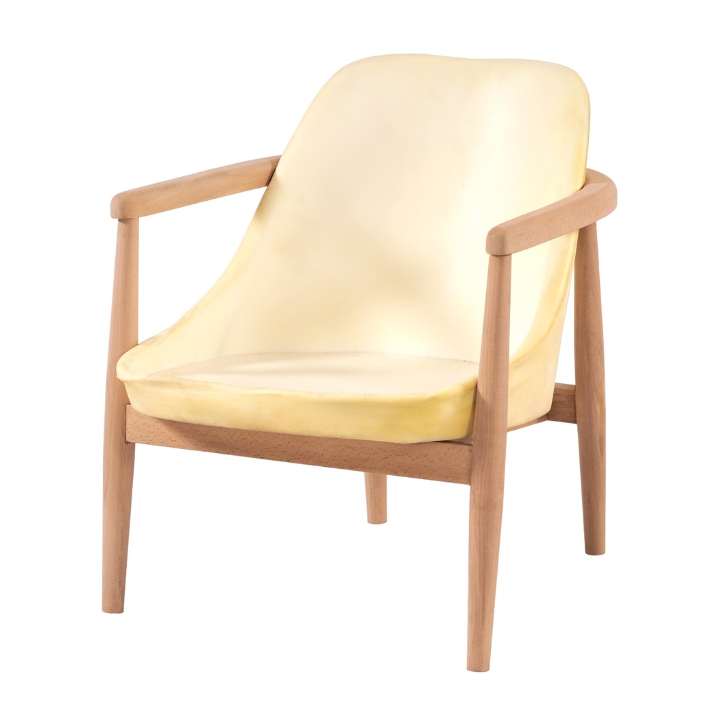 SCHELET FOTOLIU DIN LEMN