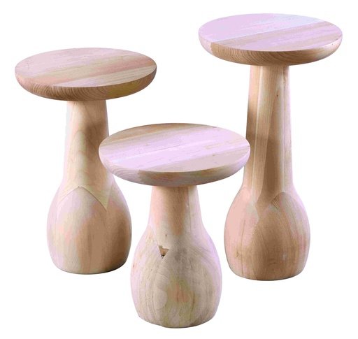 [ZGN-101] Wooden table set