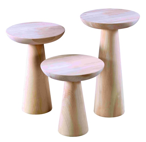 [ZGN-104] Ensemble de table en bois